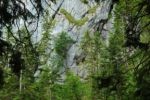 2014-07-05_Laengental-N-Hochweg (950). JPG